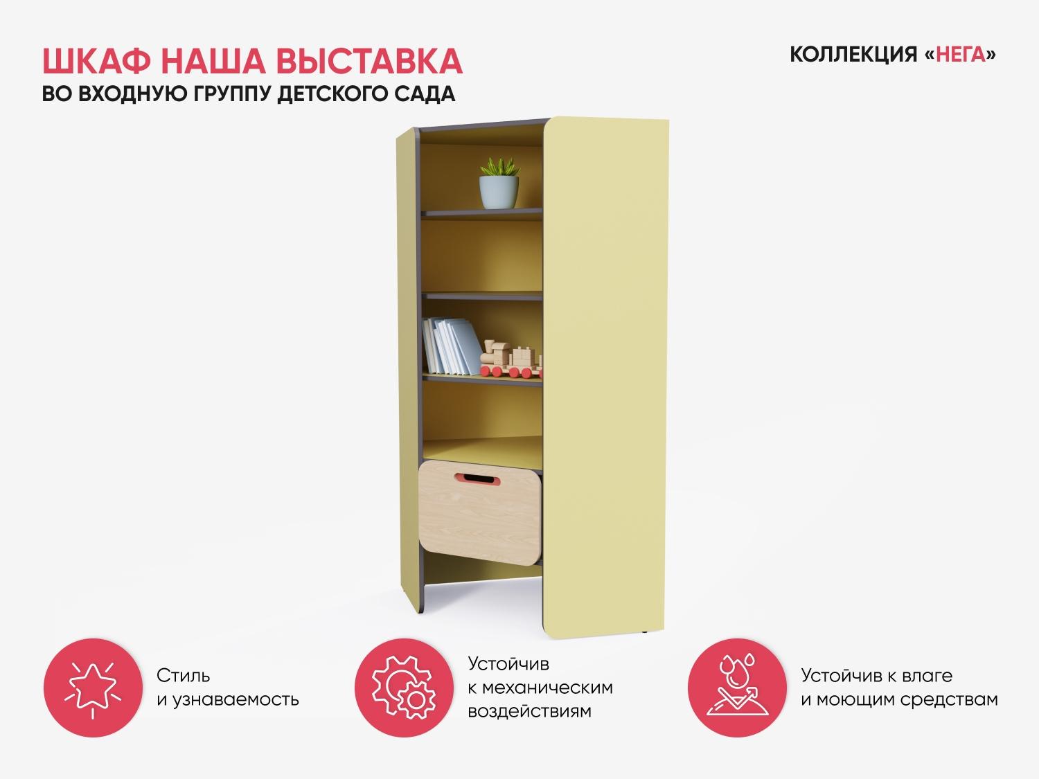 Выставочный шкаф во входную группу из коллекции «НЕГА»