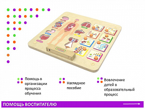 Панель "Изучаем организм"