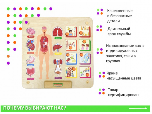 Панель "Изучаем организм"