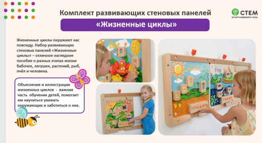 Комплект развивающих стеновых панелей "Жизненные циклы"