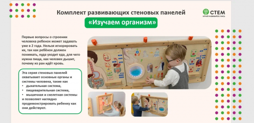 Комплект развивающих стеновых панелей "Изучаем организм"