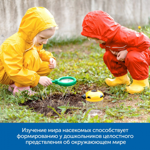 Юный энтомолог в детском саду (комплект для группы)