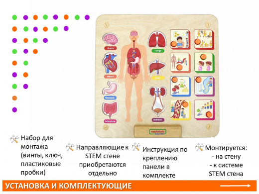 Панель "Изучаем организм"
